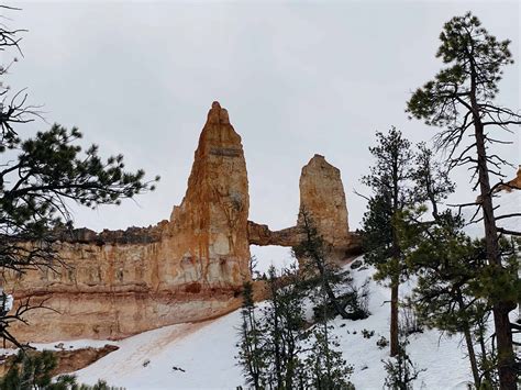 8 Best Bryce Canyon Winter Hikes And Things To Do - Karabou Adventures