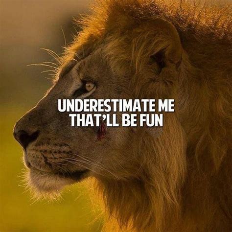 Funny Lion Pictures With Quotes - ShortQuotes.cc