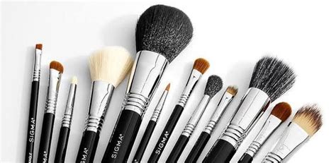 These Are the 15 Sigma Makeup Brushes You Need in Your Collection ...