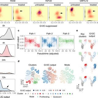 The effect of the G12Ci treatment on KRAS signalling across lung cancer ...