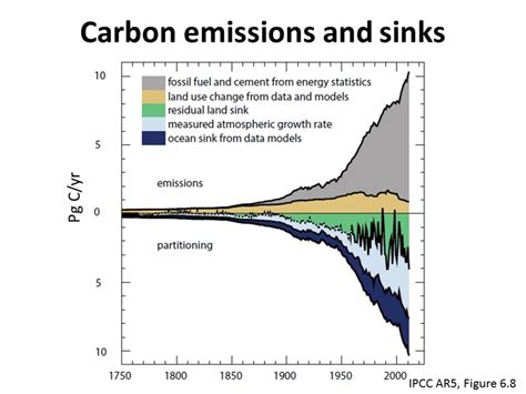 Carbon emissions and sinks