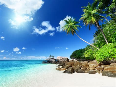 Paradise Beach HD Wallpapers - Top Free Paradise Beach HD Backgrounds - WallpaperAccess