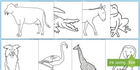 Twinkl Colouring Sheets Animals - Iweky