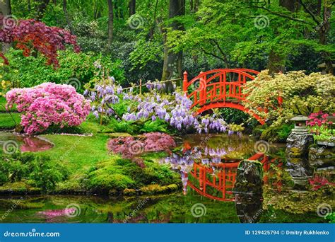 Jardín Japonés, Parque Clingendael, La Haya, Países Bajos Foto de ...