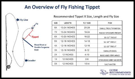 Fishing Fly Hook Size Chart