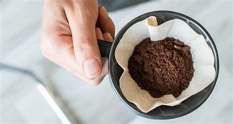 How to Dispose of Coffee Grounds: Compost, Fertilizer and Odor Absorber