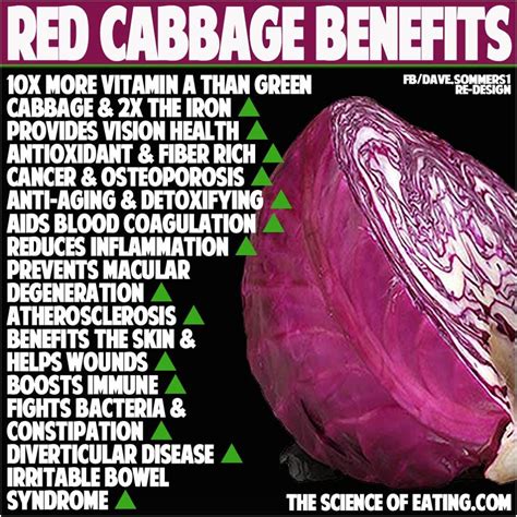 Pin by Tammy Crecelius on Funny Stuff! | Cabbage benefits, Red cabbage benefits, Red cabbage