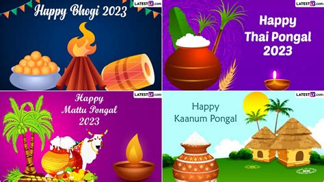 Agency News | Happy Pongal 2023: History, Significance - Know ...