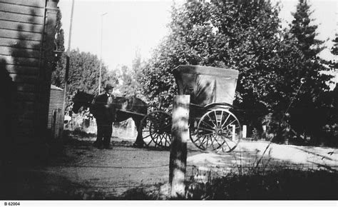 A horse drawn cab • Photograph • State Library of South Australia