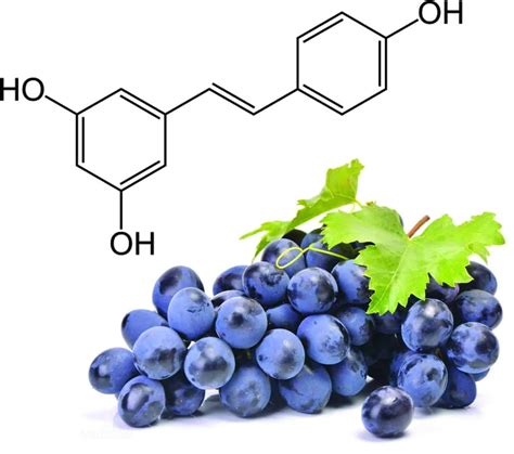 Benefits of resveratrol | PatchMD