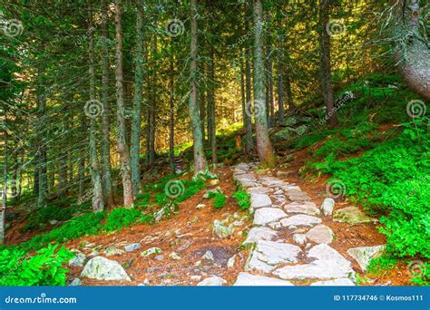 A Stony Hiking Trail Around Lake Morskie Oko Stock Photo - Image of ...