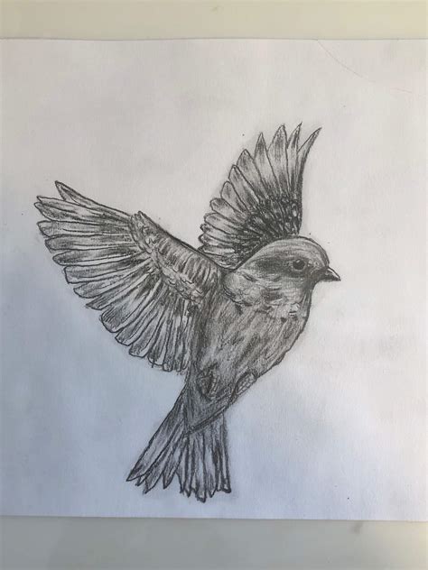 Realistic Bird Drawing | Art Amino