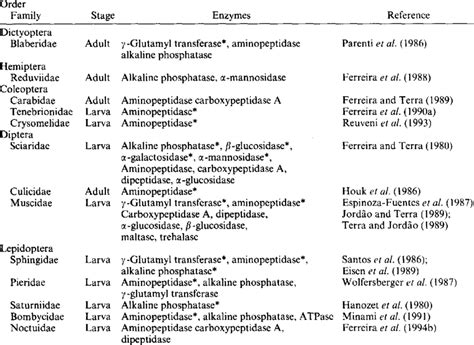 Digestive Enzymes And Functions Table | Elcho Table