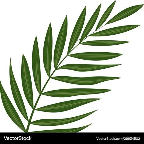 Fern frond leaf icon cartoon style Royalty Free Vector Image