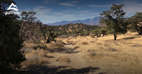 Best Trails near Yucca Valley, California | AllTrails