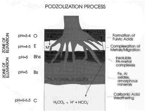 Fall 2005 Lec13