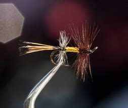 Dry Fly Patterns - Outback Anglers