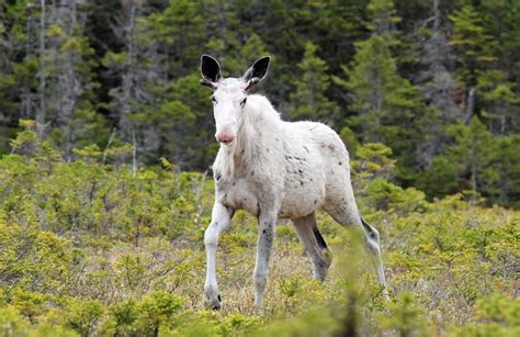 July joy! Check out this week's audience photo gallery | CBC News