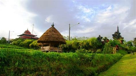 Asyiknya Menyusuri Kebun Kopi di Bali