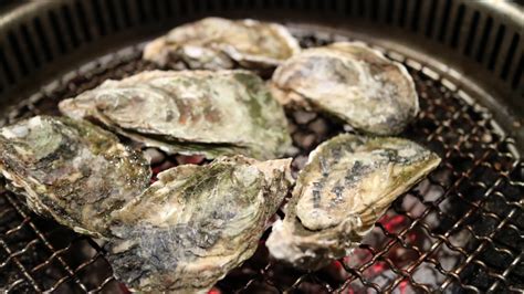 Free Images : food, oyster, seafood, barbecue, shell, invertebrate, cockle, molluscs, dry bay ...