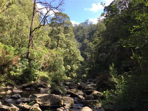 Cumberland River and waterfall - Walking Maps