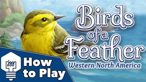 Birds of a Feather - How To Play! - Boardgame Stories