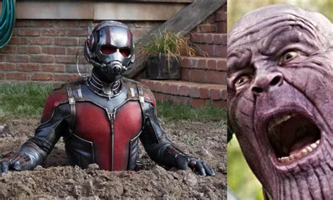 'Avengers: Endgame' Theory About Ant-Man And Thanos' Ass Is Taking Over ...