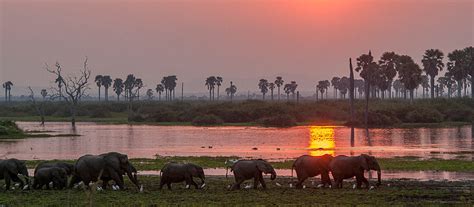 25 Largest National Parks And Reserves In East Africa | Uganda Safaris