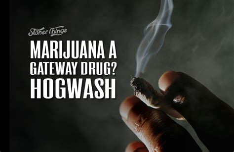 Is Marijuana a Gateway Drug? - Stoner Things