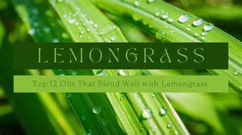 Lemongrass Essential Oil Blends Well With These Top 12 Picks for Your ...