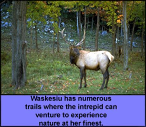 www.waskesiu.sk.ca Hiking Trails