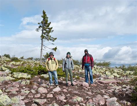 Walter Pall Bonsai Adventures: visiting Old Tjikko, the oldest tree on earth