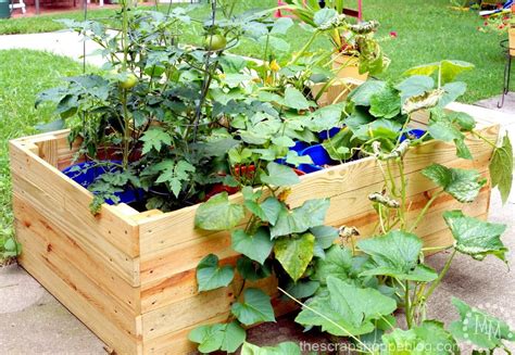 DIY Container Garden Enclosure - The Scrap Shoppe