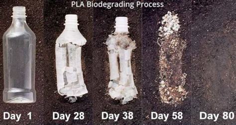 PLA vs ABS: Which is Best for your 3D Printing Needs? - 3DSourced