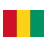 🇬🇳 Flag: Guinea Emoji Meaning with Pictures: from A to Z