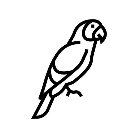 parrot tropical bird line icon vector illustration 10389161 Vector Art at Vecteezy