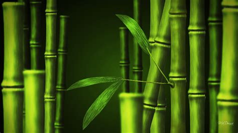 Bamboo wallpaper | 1920x1080 | #43695