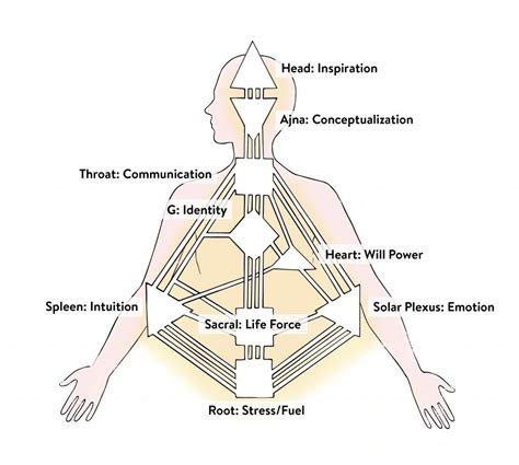 Human design chart symbols explained - fruitvsa