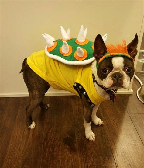 Bowser Dog Costume