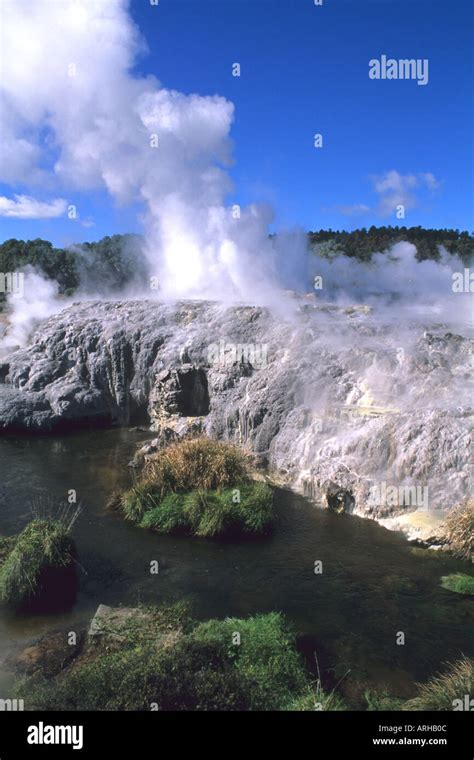 Famous Whakarewarewa Geysers in Rotorua New Zealand Stock Photo - Alamy