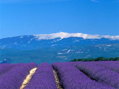 Le Mont Ventoux : de Vaison-la-Romaine à Carpentras