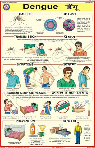 Dengue Fever Chart