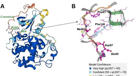 AlphaFold works with other AI tools to go from target to hit molecule ...