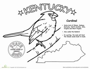 Kentucky State Bird | Worksheet | Education.com