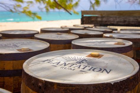 Where to sip a cocktail during the Plantation Rum Cup - Drinks Digest