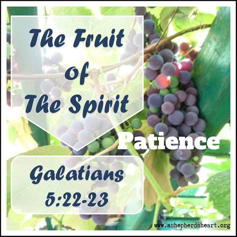 A Shepherd's Heart: The Fruit of The Spirit - Patience