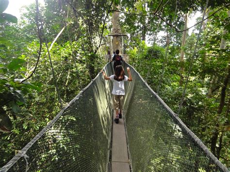 Poring Hot Springs | Borneo Adventure