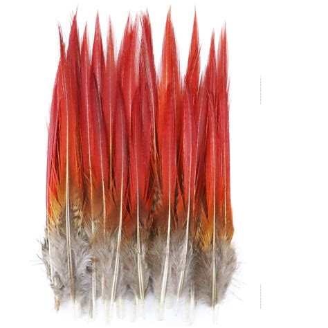 Natural Golden Pheasant Feathers Natural Pheasant Red Tip - Etsy