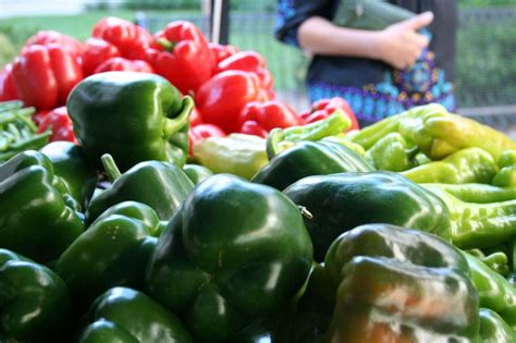 Ballston Farmers Market Season Opener | Arlington, VA Patch