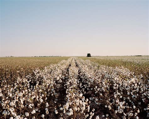 Aerial Photographs of Cotton Farming in Arizona-6 – Fubiz Media